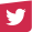 logo footer twitter